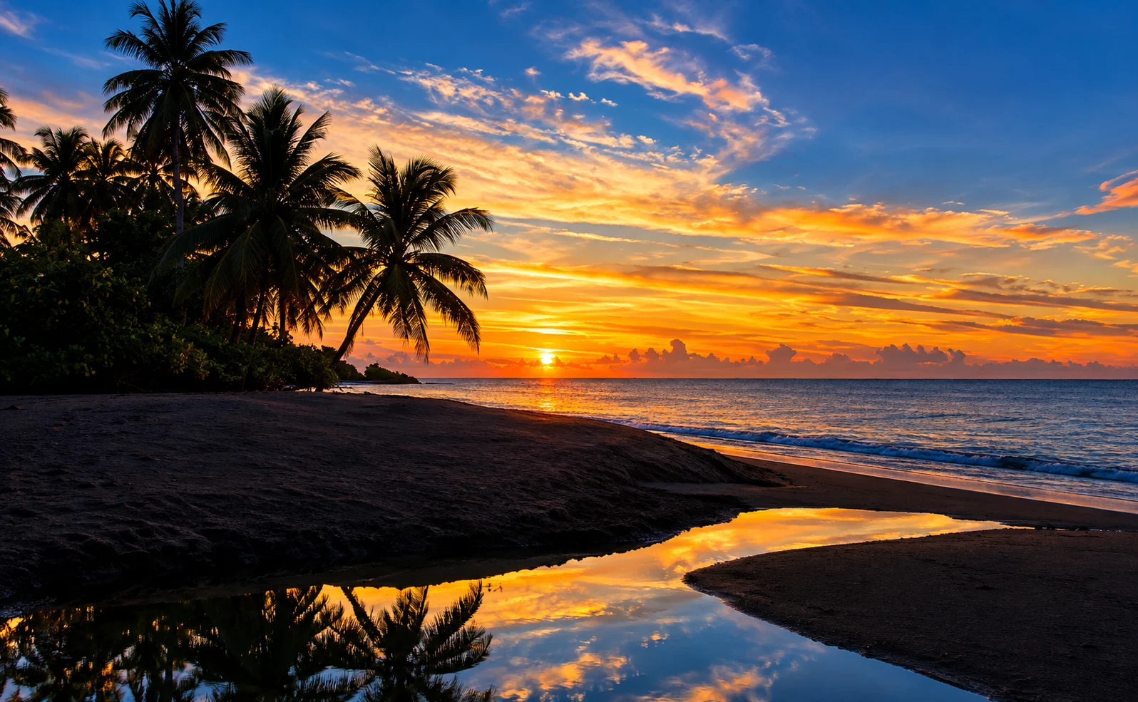 Palm silhouettes and sunset reflection