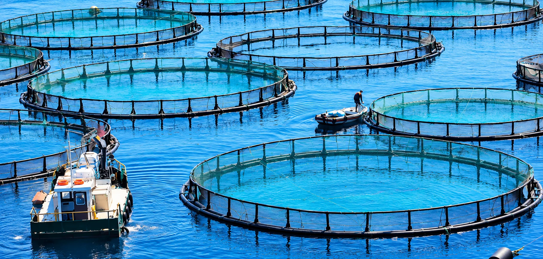 Circular sea cages with service boat