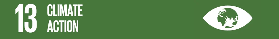 SDG 13 Climate Action