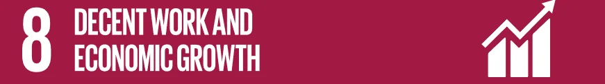 SDG 8 Decent Work & Economic Growth