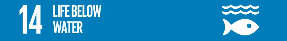 SDG 14 Life Below Water